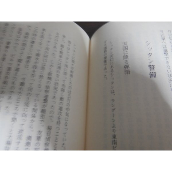 画像9: 新しき国生み　ビルマ戦線従軍記（歩兵第二百十五聯隊） (9)