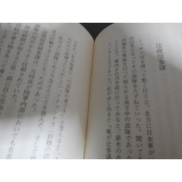 画像8: 新しき国生み　ビルマ戦線従軍記（歩兵第二百十五聯隊） (8)