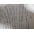 画像13: 中国ビルマ戦記 (13)