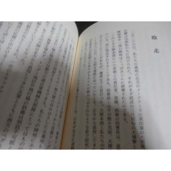 画像8: 仏僧敗戦記　わが回想のビルマ戦線（第二十三飛行場大隊） (8)