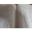 画像9: 大陸殿兵団　第五十八師団戦記 (9)