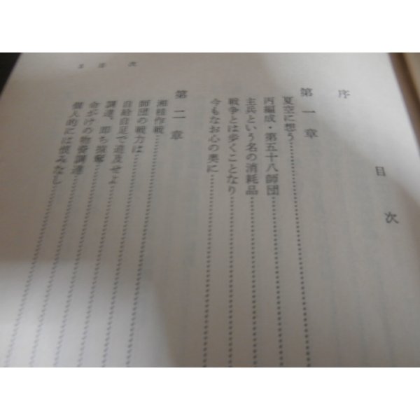 画像2: 大陸殿兵団　第五十八師団戦記 (2)