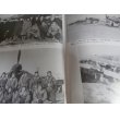 画像7: 陸軍飛行第244戦隊史（三式戦飛燕、五式戦で本土防空戦獅子奮迅の活躍） (7)