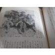 画像4: あゝ青春零戦隊　猛烈に生きた二十歳の青春（零戦、紫電改で奮戦！） (4)