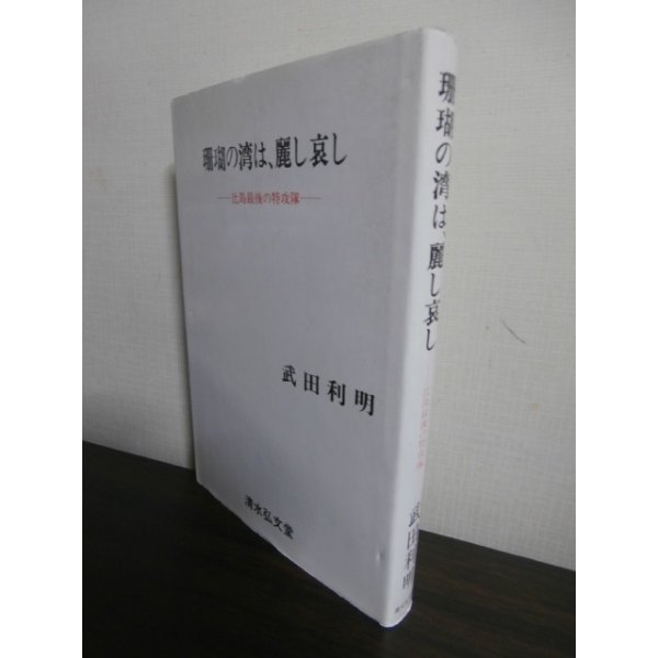 画像1: 珊瑚の湾は、麗し哀し 比島最後の特攻隊　（第二十七金剛隊） (1)