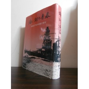 画像: 海に翔た青春　戦艦長門高角砲員の奮戦（海軍が誇る八九式十二糎連装高角砲の威力）