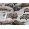 画像11: Panzer Colors II （ドイツ軍機甲部隊写真、イラスト集1939-1945　英文） (11)