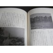 画像5: 累骨の谷 　 ビルマ兵站病院壊滅記 （第百二十四兵站病院軍医） (5)