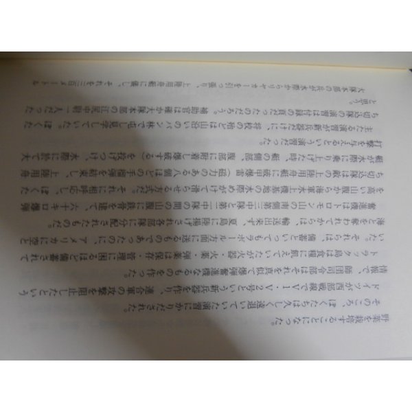 画像16: 沖縄戦回想　悲涙の戦記（第六二師団通信隊） (16)