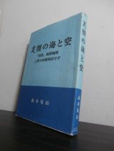 画像: 足摺の海と空「飛燕」戦闘機隊上野少尉機帰投せず（飛行第五十六戦隊）