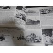 画像5: Panzer ColorsIII（ドイツ軍機甲部隊写真、イラスト集1939-1945　英文） (5)