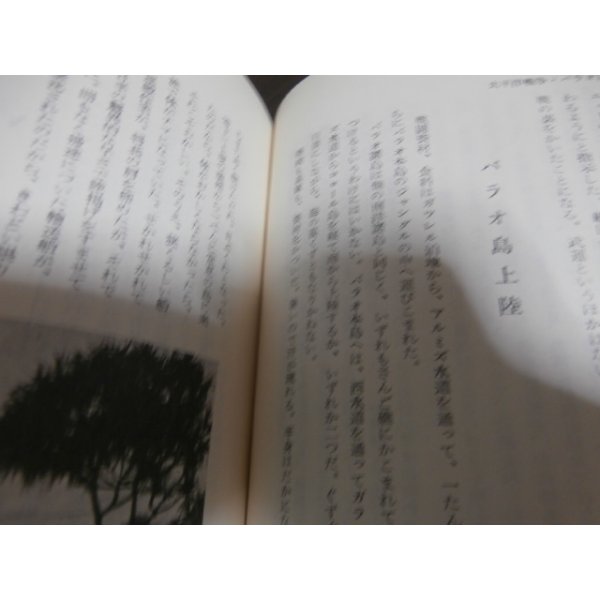 画像9: 軍旗と共に　高崎十五連隊史（他に歩兵百十五、八十五、二百十五、二百三十八聯隊） (9)