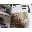 画像4: 図説江戸三百藩「城と陣屋」総覧―決定版 (東国編) (歴史群像シリーズ) (4)