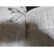 画像11: 海軍飛行科予備学生　学徒出陣よもやま物語（元203空、1081空） (11)