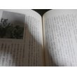 画像5: 傷痕　ルソンの軍靴（歩兵第七十三聯隊） (5)