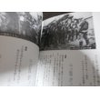 画像9: 知覧特別攻撃隊 写真・遺書・日記・手紙・記録・名簿 (9)