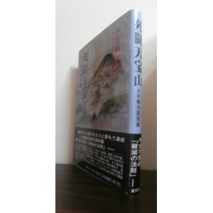 画像: 死闘天宝山　日中戦争深発掘　（歩兵第三十九師団二百三十二聯隊）