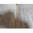 画像9: 大東亜戦争の真実　 東條英機宣誓供述書 (9)