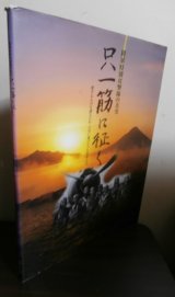 画像: 陸軍特別攻撃隊の真実　只一筋に征く