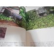 画像4: パラオ海底の英霊たち  記録写真集 (4)