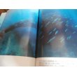 画像7: パラオ海底の英霊たち  記録写真集 (7)