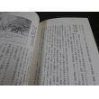 画像21: 激録日本大戦争 第35巻　南洋・インパールの死闘 (21)