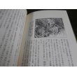 画像19: 激録日本大戦争 第35巻　南洋・インパールの死闘 (19)