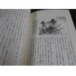 画像22: 激録日本大戦争 第35巻　南洋・インパールの死闘 (22)