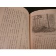 画像15: タラカン島戦記 　僻地孤島の惨敗記 (15)