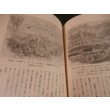 画像13: タラカン島戦記 　僻地孤島の惨敗記 (13)