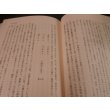 画像5: タラカン島戦記 　僻地孤島の惨敗記 (5)