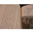 画像16: タラカン島戦記 　僻地孤島の惨敗記 (16)