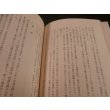 画像19: タラカン島戦記 　僻地孤島の惨敗記 (19)
