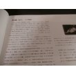 画像2: 九月の涼月　付　駆逐艦涼月公式図 (2)