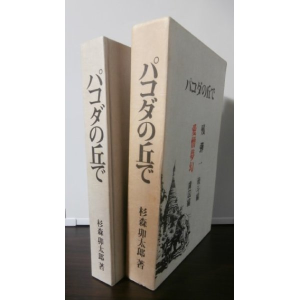 画像1: パコダの丘で（歩兵第百十九聯隊第三歩兵砲小隊長） (1)