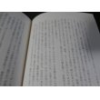 画像16: 私はホロコーストを見た―黙殺された世紀の証言　１９３９‐４３　上下　2冊 (16)