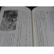 画像7: たった一人の30年戦争 (7)