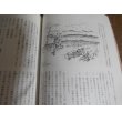 画像15: ビルマ戦行動記　血と河の記録　独立歩兵第187大隊萩原隊（独立混成第七十二旅団独立歩兵第百八十七大隊第一中隊のビルマ戦） (15)