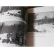 画像6: シュトラハヴィッツ機甲戦闘団 “泥まみれの虎”の戦場写真集（東部戦線ナルバ1944） (6)