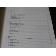 画像2: シュトラハヴィッツ機甲戦闘団 “泥まみれの虎”の戦場写真集（東部戦線ナルバ1944） (2)