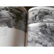画像9: シュトラハヴィッツ機甲戦闘団 “泥まみれの虎”の戦場写真集（東部戦線ナルバ1944） (9)