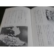 画像13: 戦艦大和のさいご　日本海軍の落日 太平洋戦史 5 (13)