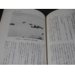 画像11: 海軍戦闘機隊　2　進攻作戦 (11)