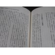 画像13: 知られざる兵団　帝国陸軍独立混成旅団 (13)