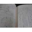画像17: 知られざる兵団　帝国陸軍独立混成旅団 (17)