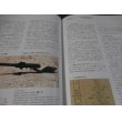 画像11: 日本の軍用銃と装具 (11)