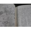 画像19: 知られざる兵団　帝国陸軍独立混成旅団 (19)