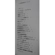 画像2: ドイツ武装親衛隊軍装ガイド (ミリタリー・ユニフォーム2) (2)
