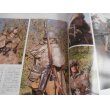 画像15: ドイツ武装親衛隊軍装ガイド (ミリタリー・ユニフォーム2) (15)