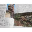 画像3: ドイツ武装親衛隊軍装ガイド (ミリタリー・ユニフォーム2) (3)